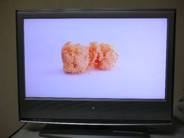 SONY BRAVIA KDL-20S2500