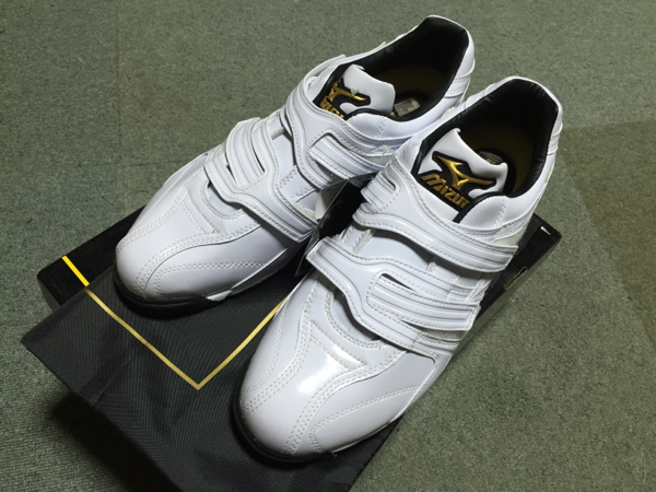 中古 格安買取 ミズノプロ mizuno トレーニングシューズ 新品未使用 29