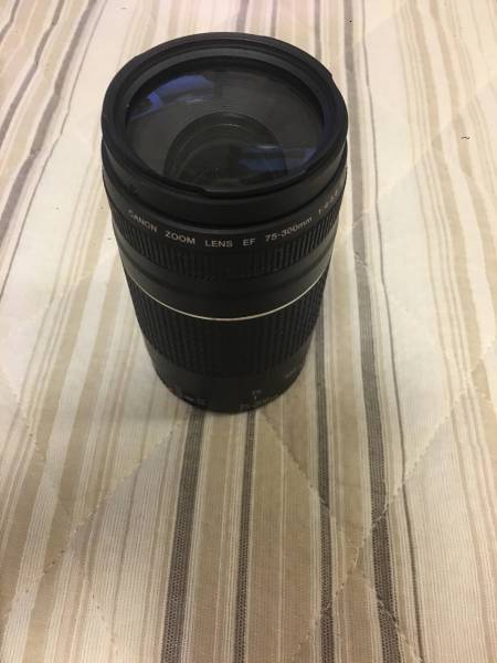 Canon コンパクト望遠ズームレンズ75-300mm
