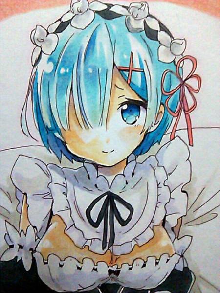同人手描きイラスト 色紙】 リゼロ レム 【公式通販】