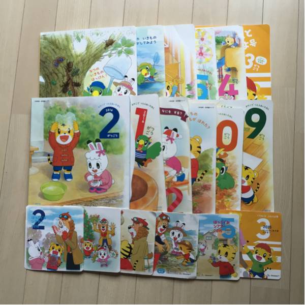 こどもちゃれんじ ほっぷ 3年保育・保育園タイプ DVD 絵本