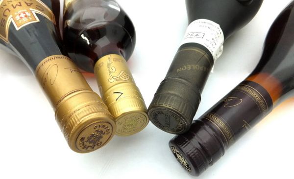 CAMUS カミュ/MAJOR メジャー 計4本セット 2PTM-061Z