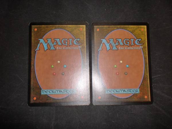 W*g様 【現存枚数ほぼない】すべてを護るもの、母聖樹foil日本語版 MTG すべてを護るもの、母聖樹 CHK 英語 製品版 FOIL 数量2