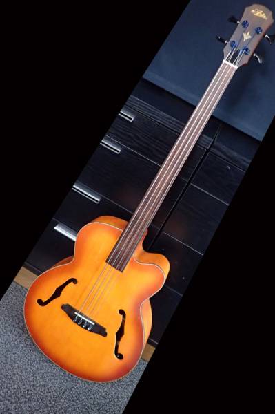 ARIA FEB-F2⁄FL FEB -Acoustic- Products 荒井貿易 FEB-FL FEB-FL⁄F