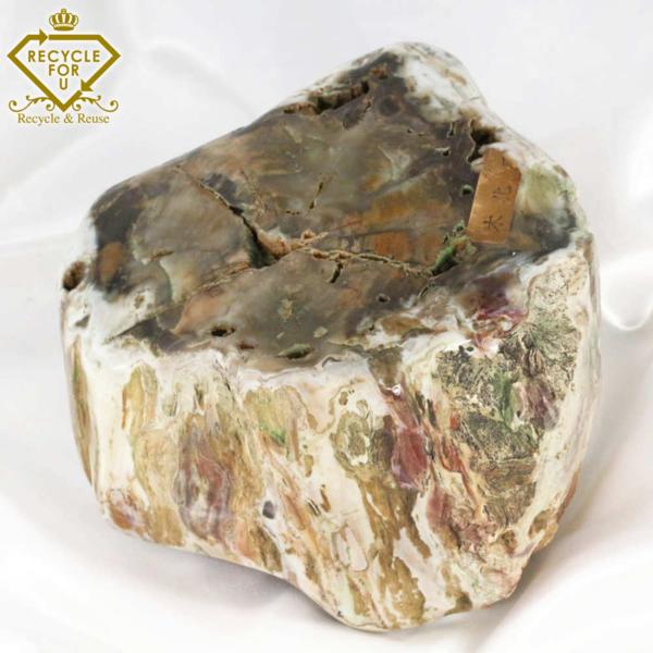 木の化石 珪化木 Petrified ペトリファイド/5.3kg□180833