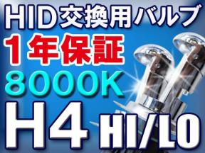 h289857350.2