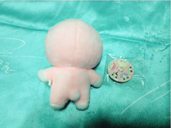 SHINee ぬいぐるみ ピグニー兄弟 オニュ