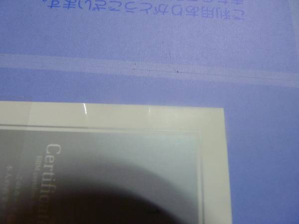 BBM2010リアルヴィーナス 益子直美 直筆サインカード