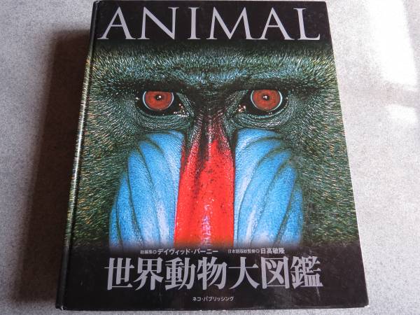 世界動物大図鑑 ネコ・パブリッシング 中古 カバーなし 本、雑誌 自然