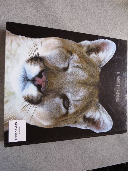 世界動物大図鑑 ネコ・パブリッシング 中古 カバーなし 本、雑誌 自然
