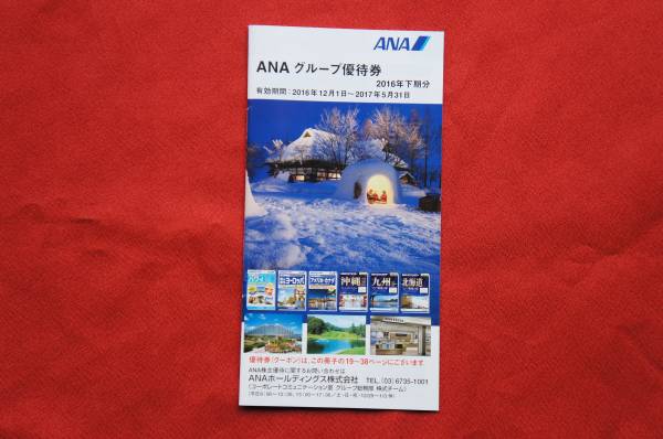 ANA 全日空　株主優待券１枚　１１月末まで有効　優待券クーポン付き　送料無料