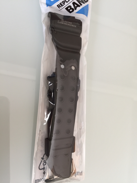 カシオ 純正ベルト DW-8200BK 新品 フロッグマン用