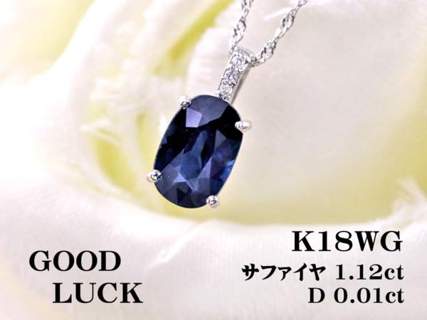 k239343169.1