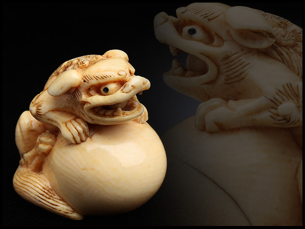 AU725 本象牙彫玉取獅子根付・象牙彫玉獅子根付・象牙雕獅子吊墜・象牙