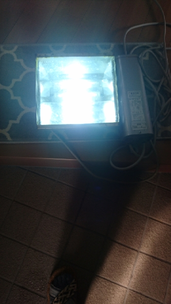 d241702073.2