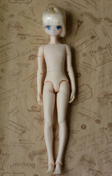 [ドールのみ] アゾン Alvastaria(アルヴァスタリア) ニール ～旅立ちの日～ ドール