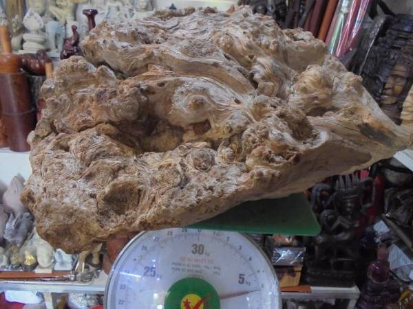 超絶 天然カンボジアン 老山白檀天舞香 ６１９０ｇ 香木 １００％天然保証