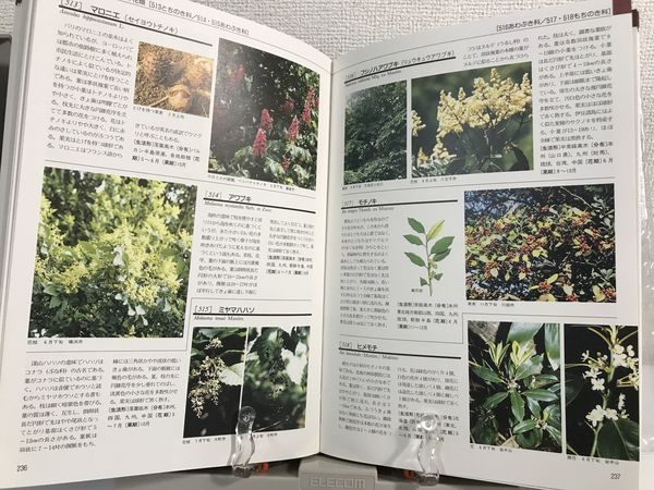 本 原色樹木大図鑑 通販 新訂 – 北隆館WEBサイト 原色樹木図鑑 -