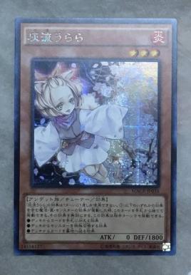遊戯王 アジア版 灰流うらら シク MACRーJP036 灰流うらら