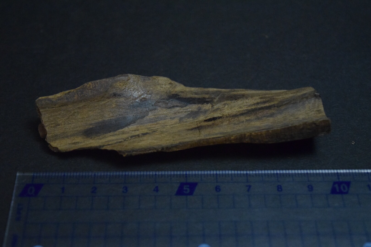 ベトナム産 沈香 計 41.6g ☆ 香木 伽羅 agarwood 仏具 聞香