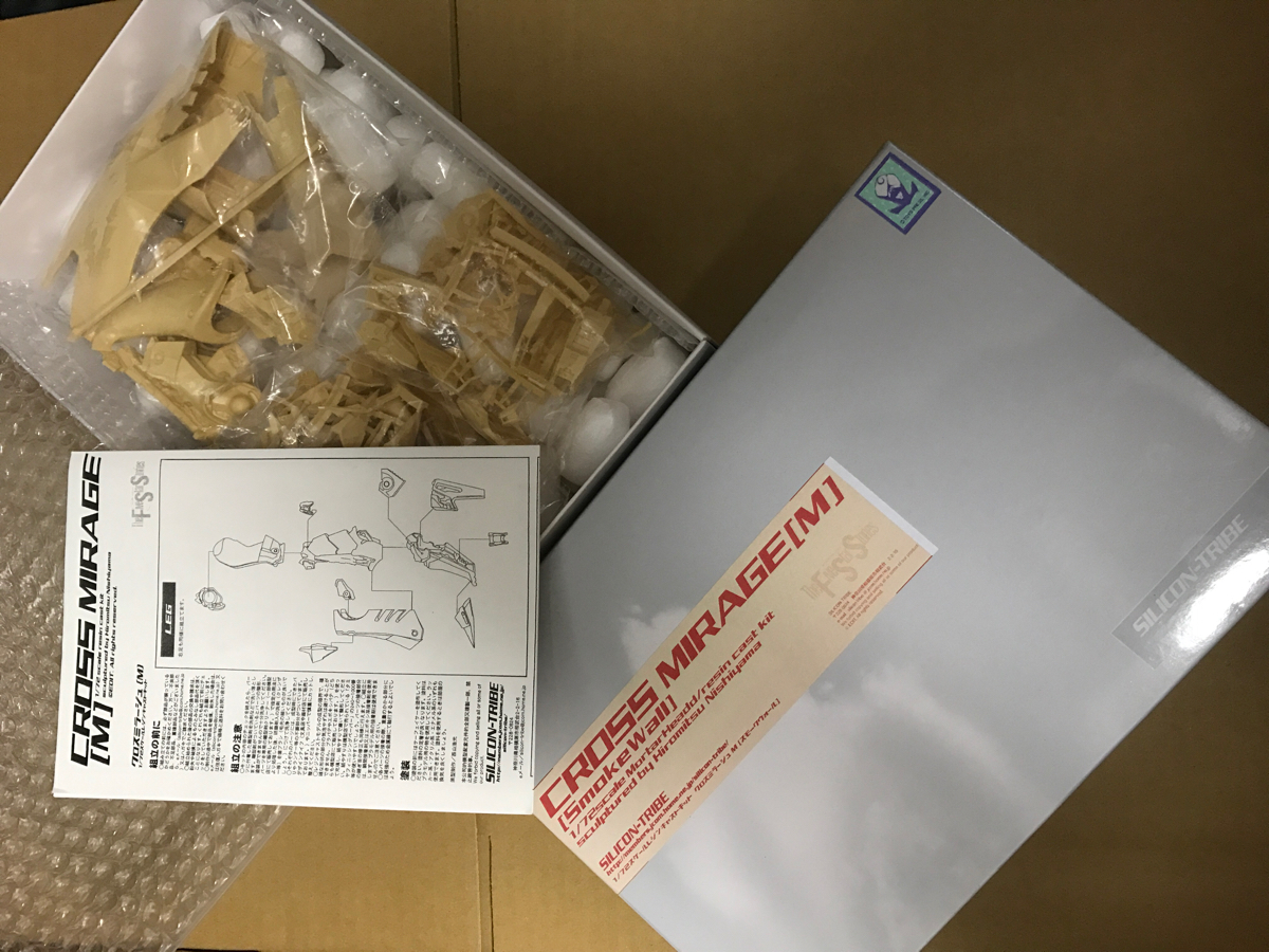 FSS SILICON TRIBE シリコントライフ 1/72 CROSS MIRAGE [M] クロス