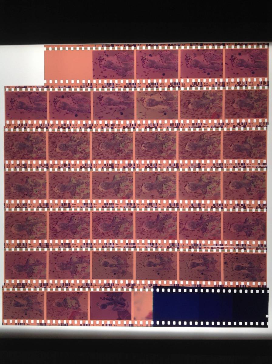 i-img1200x1200-17598093774677w1msum32498
