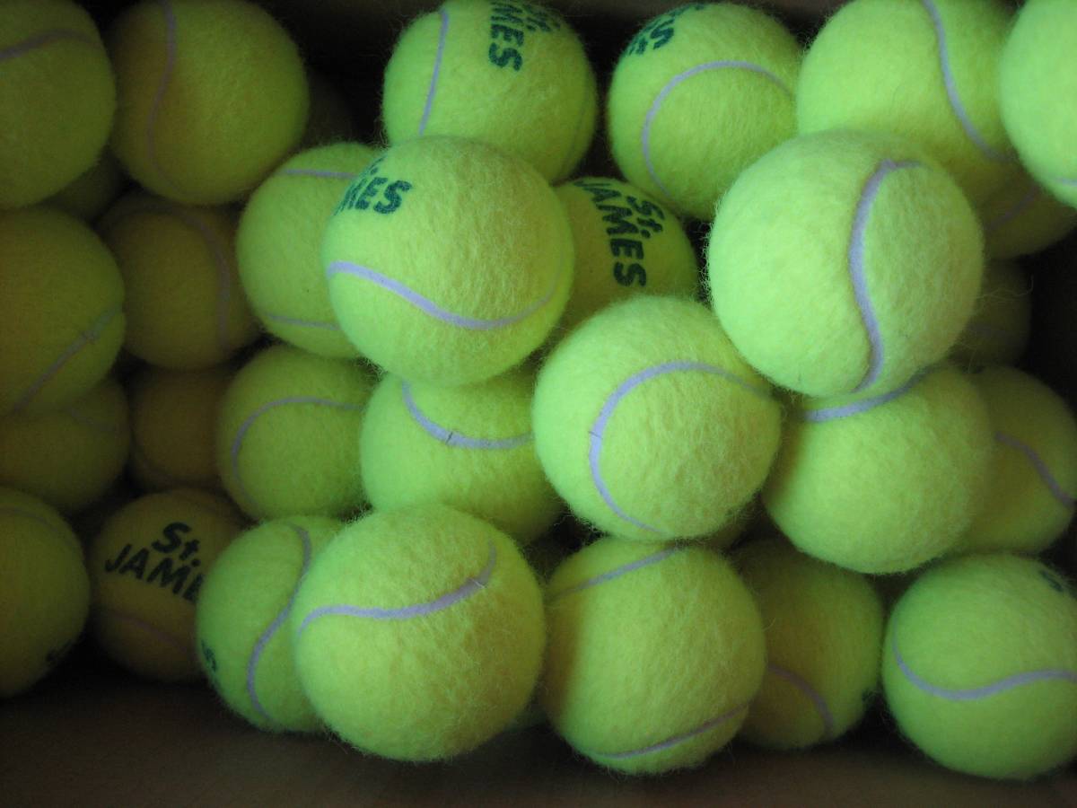 ダンロップ 硬式テニスボール セントジェームス ダンロップ(DUNLOP 