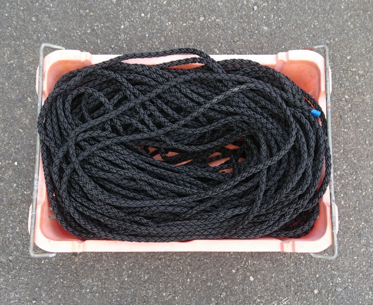 k272807769.1