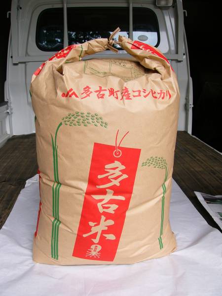 コシヒカリ 30kg | 令和8年新米多古米コシヒカリ 新米 令和7年産 玄米