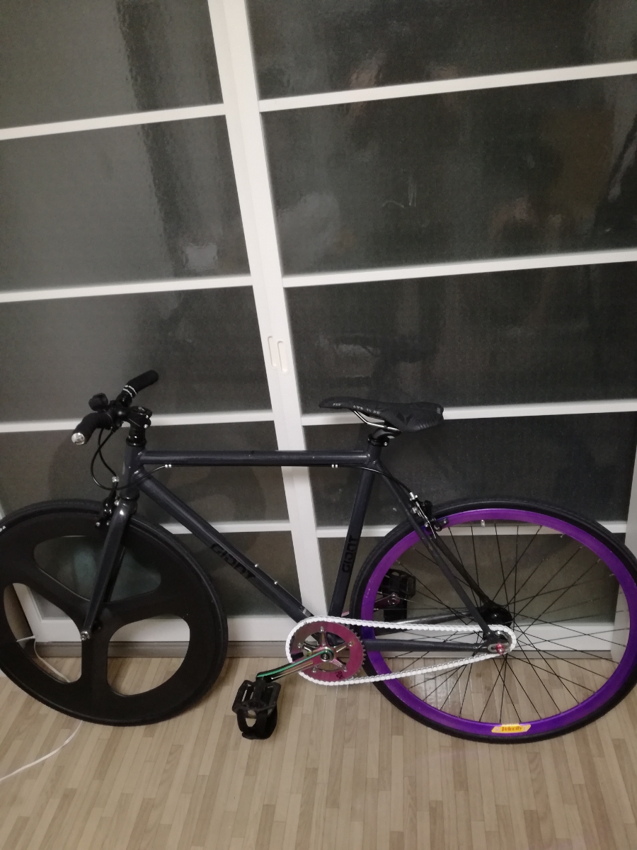 ピスト　ジャイアント　カーボンホイール　ベロシティ　シングルスピード　njs トラック