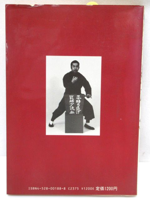 鉄砂掌 中国拳法・秘伝必殺 龍清剛 著 希少 レア 日東書院 武術