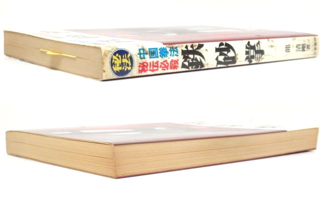 鉄砂掌 中国拳法・秘伝必殺 龍清剛 著 希少 レア 日東書院 武術