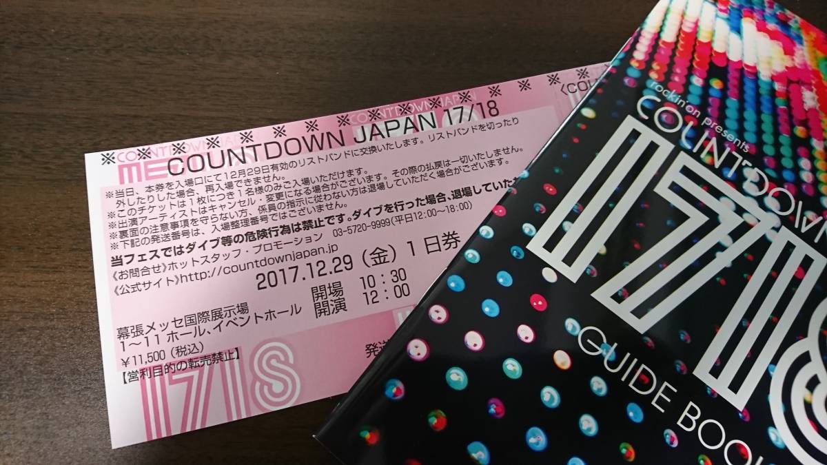 COUNTDOWN JAPAN CDJ カウントダウンジャパン1718 12/29 チケット1枚