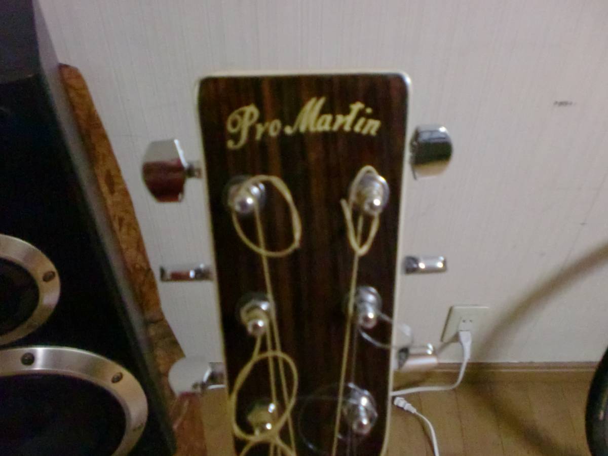 Pro Martin プロマーチン W300N アコースティックギター Pro Martin プロマーチン W300N アコースティックギター