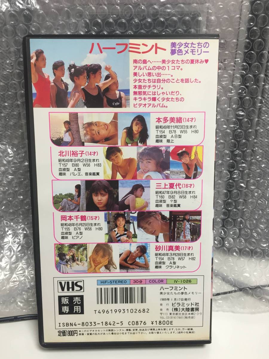 オーロラの下で Vhs ビデオ 美品