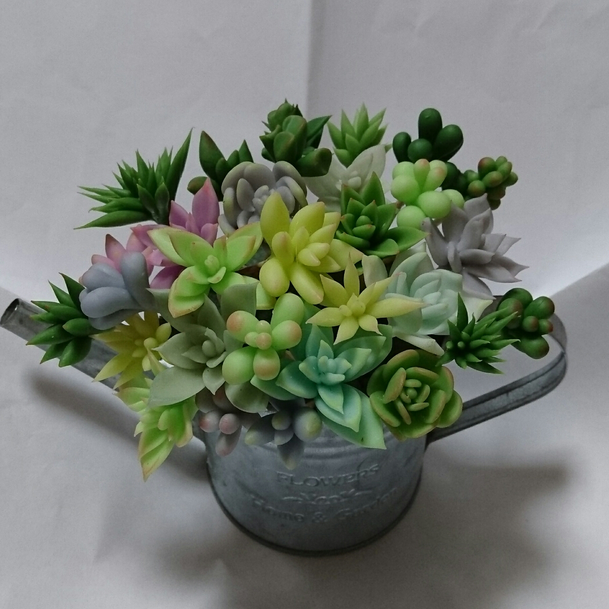 ぷっくりかわいい多肉植物 樹脂粘土 多肉植物のピック30本 寄せ植えやリース テラリウムなどに アレンジ自在 完成品 売買されたオークション情報 Yahooの商品情報をアーカイブ公開 オークファン Aucfan Com