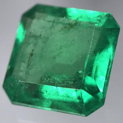 g290391952.1