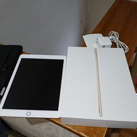 iPad Air2 32GB Wi-Fi+Cellular ゴールド 美中古品 Apple iPad Air2