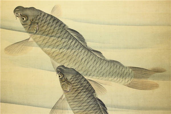 岡島清曠 掛軸・書画 y641 幕末-明治期四条派画家 花鳥之図 | 水草鯉