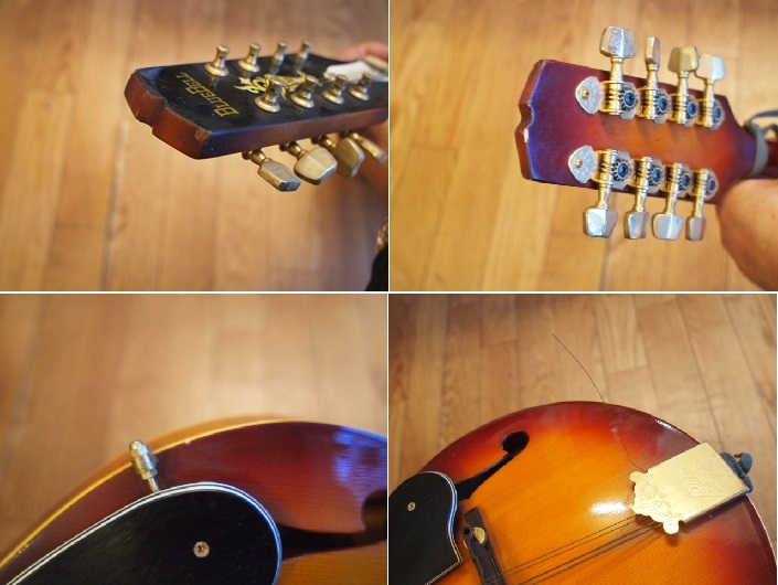 ◇BlueBell 【FM-25】 フラットマンドリン 富士弦 USED品 FUJIGEN