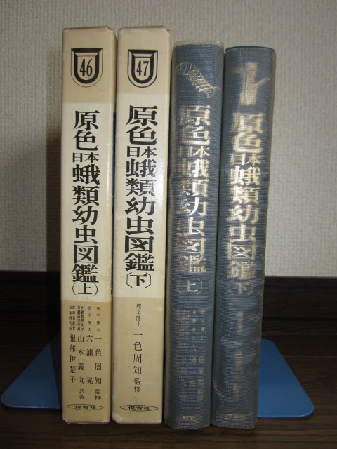 原色日本蛾類幼虫図鑑(六浦晃, 服部伊楚子 共著) ⁄ 山本義丸,