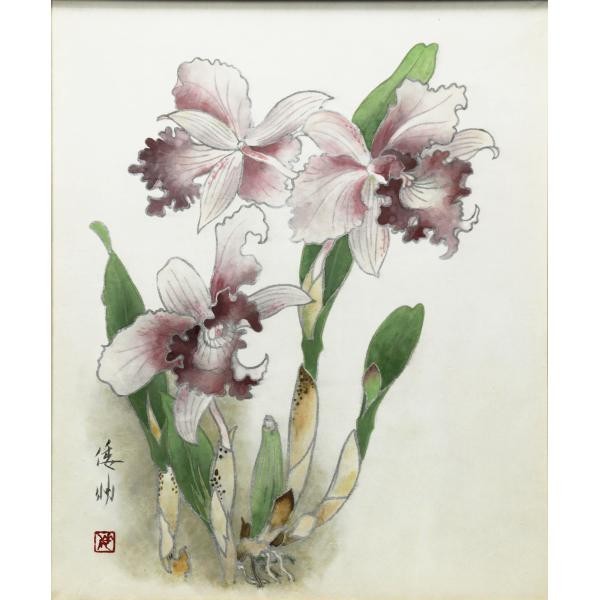WISH】○坊坂倭文明 8号 日本美術院特待 日本画「カトレア」共シール