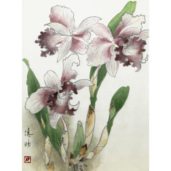 WISH】○坊坂倭文明 8号 日本美術院特待 日本画「カトレア」共シール