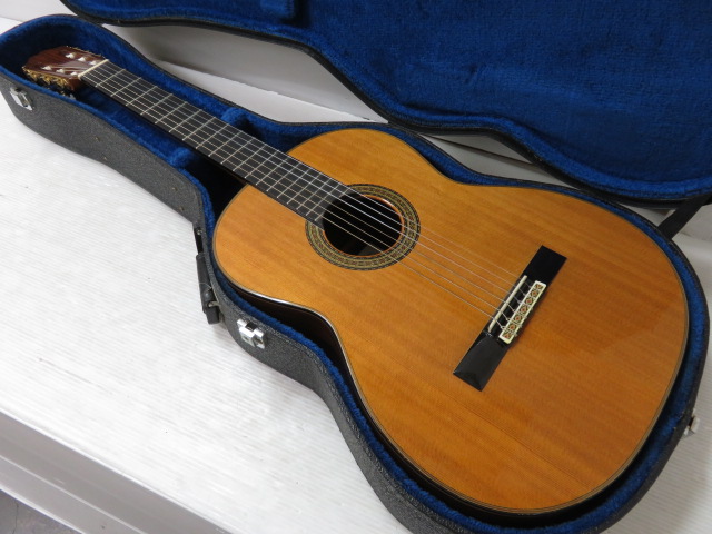 Aria - Guitars Electric, Acoustic, Classical | Electric San Music