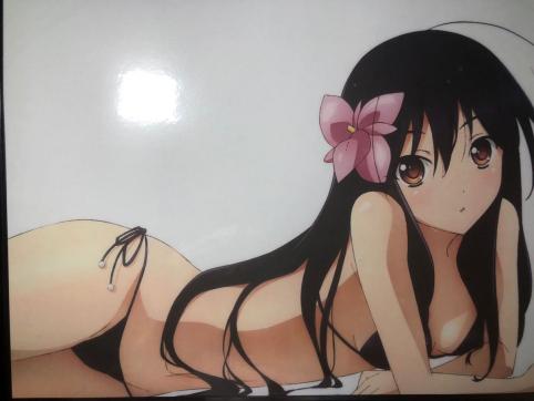 アクセル ワールド 黒雪姫 イラストカード ラミネート ポスター 管理番号6 コミック アニメグッズ 売買されたオークション情報 Yahooの商品情報をアーカイブ公開 オークファン Aucfan Com