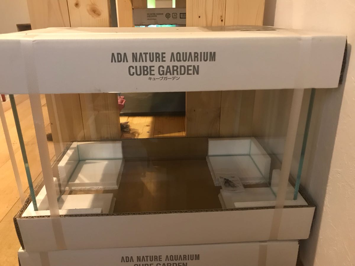 ADA キューブガーデン 45×30×45cm水槽 アクアデザインアマノ ADA 水槽 