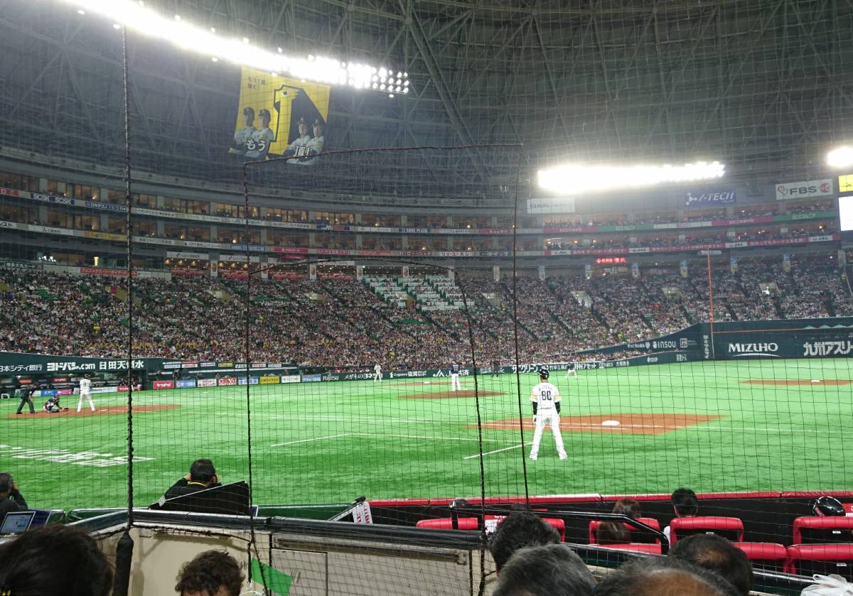 試合情報 ソフトバンクホークス 8⁄11 A指定席 ペアチケット 連番 8⁄11 