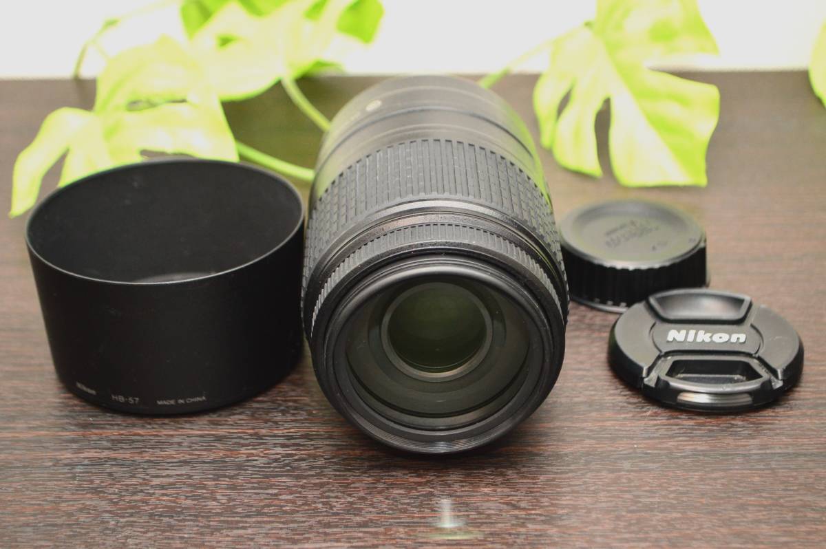 Nikon DX AF-S NIKKOR 55-300mm 1:4.5-5.6G ED VR ニコン 【公式通販】
