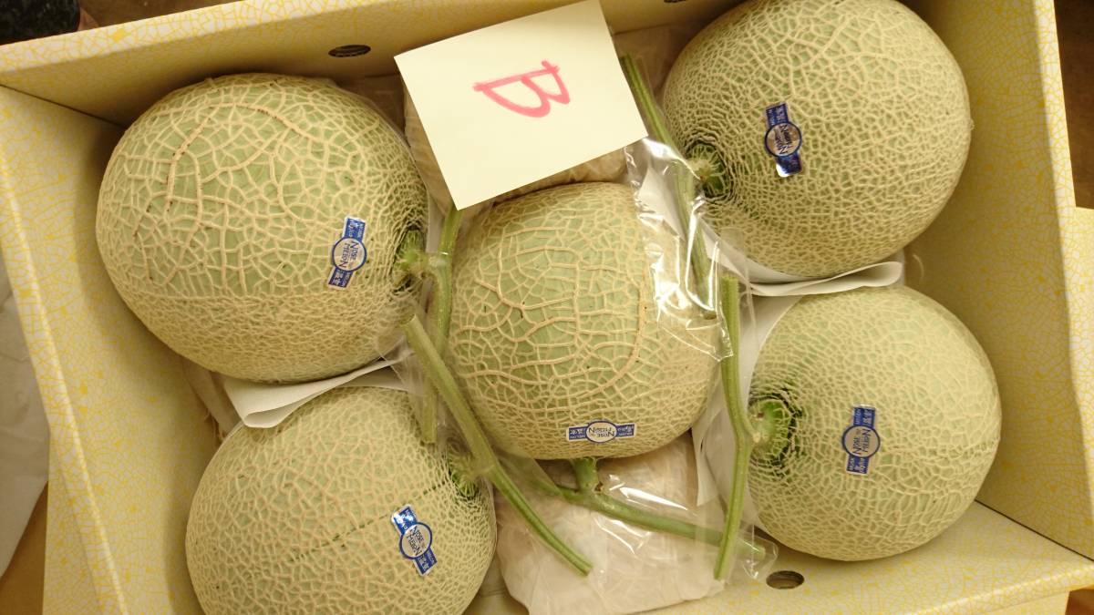 ♪送料無料 B 温室マスクメロン高知産 5玉 約9.6kg 家庭用です