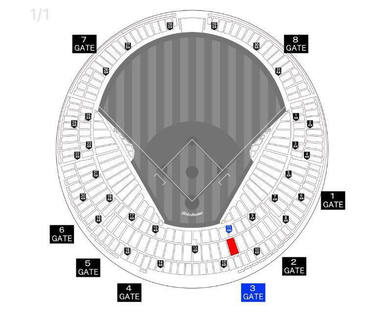 8⁄17(金) 横浜DeNAベイスターズVS広島カープ ライト外野指定席 上段 3 